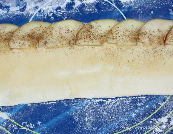 По краю теста выкладываем дольки яблок внахлест. Посыпаем корицей.