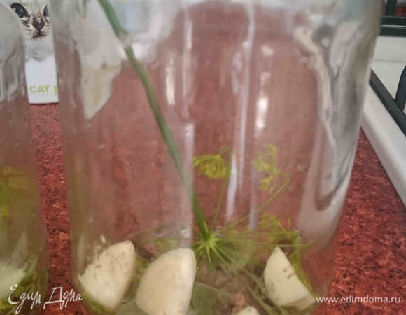 В чистые банки кладем подготовленные приправы.