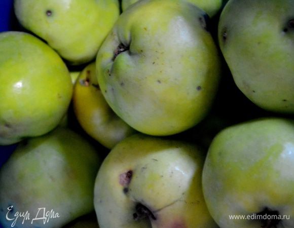 Моем яблоки.