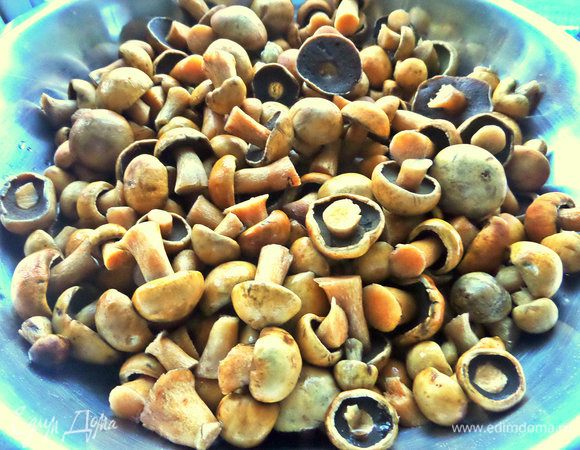 Грибы с болот под Ригой. Мелкие моховички. Вес указала примерно. Их нужно заранее отварить минут 30-40 (зависит от размера)! Это можно сделать с вечера, а мариновать утром.