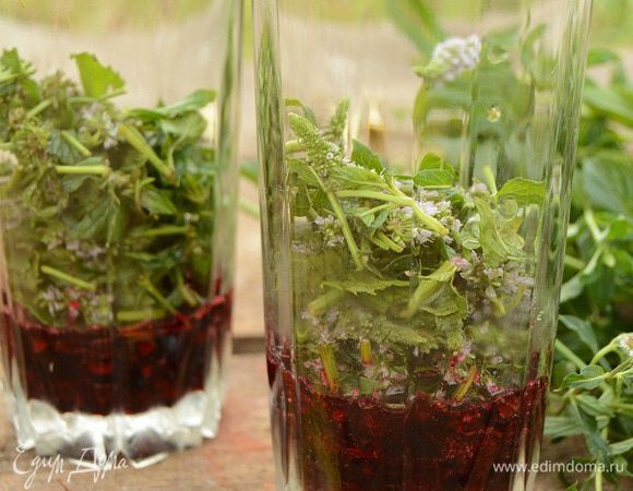 Растолочь черную смородину с сахаром в стакане или в френч-прессе, помять хорошенько мяту, добавить к смородине.