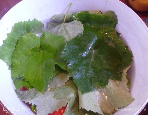 Виноградные листья тоже хорошо промыть от уличной пыли.