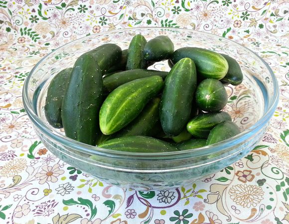 Огурцы помыть, обсушить, срезать хвостики.
