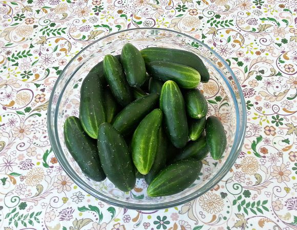 Огурцы хорошо промыть, срезать хвостики.