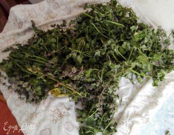 Для начала нужно промыть мяту и дать стечь воде.