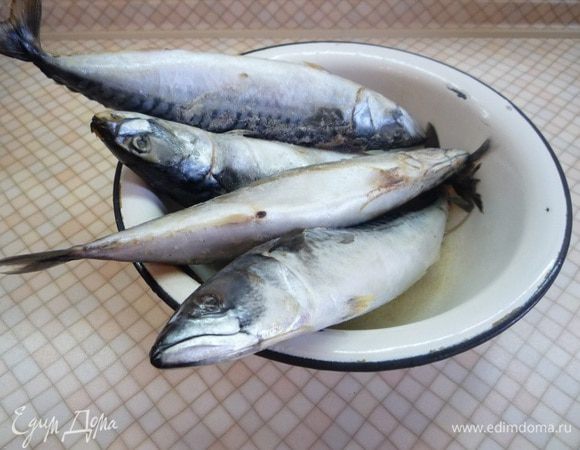 Скумбрию предварительно размораживаем в естественных условиях, чистим, удаляем внутренности.