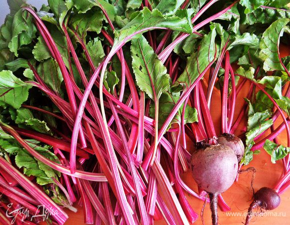 Итак, получили в подарок или вырастили сами вот такую ботву! 