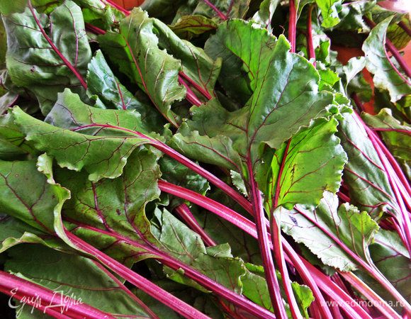 Теперь обратимся к листьям. Можно их нарезать, а можно затолкать целиком, вдруг решите что-нибудь закрутить в них на манер долмы!