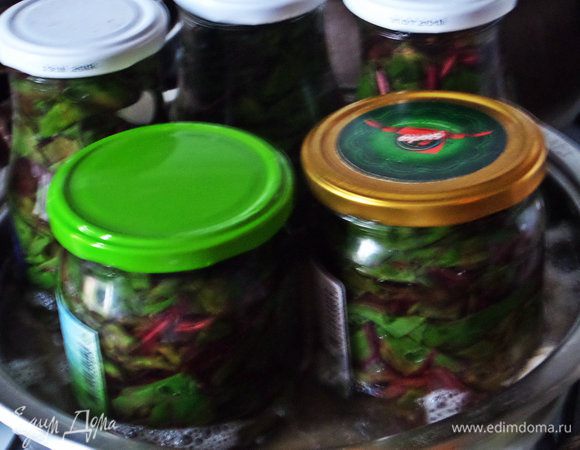 Банки с листьями ставим стерилизовать в кастрюлю с постеленной тряпочкой на дно. Когда слабо закипит, держим на огне минут 15-20. Вынимаем, переворачиваем, когда остынут - перевернём назад и убираем на хранение.