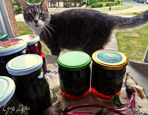 А вот и второй. Вернее Дуся мимо проходила)))