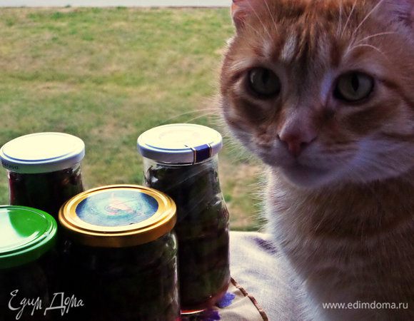 Вот так, под контролем приходится вести съёмку!