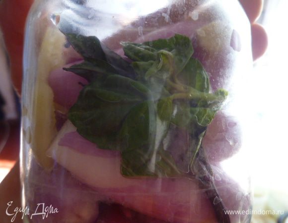 А вот и базилик.