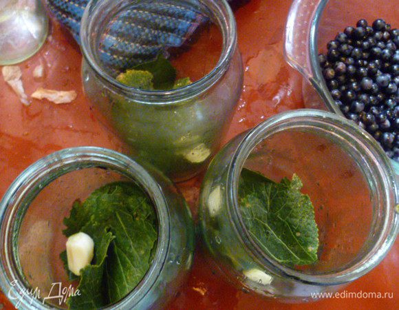 На дно стерилизованных банок кладем зелень, специи и чеснок.
