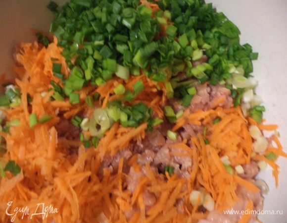 Куриное филе пропустить через мясорубку.
Морковь очистить и натереть на крупной тёрке.
Зелёный лук нарезать тоненькими колечками.
Всё соединить в миске.