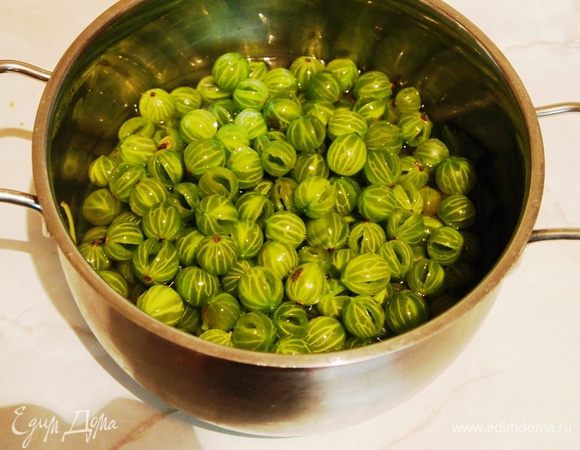 Сварить отвар из листьев вишни. Налить в кастрюлю указанное количество воды, помыть и опустить туда все листья (кроме отложенных). Довести отвар до кипения и варить на медленном огне 2–3 минуты, следя за тем, чтобы он оставался зеленого цвета. Залить очищенные ягоды крыжовника горячим отваром вместе с листьями, остудить и оставить в холоде на ночь или на 10–12 часов.