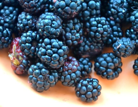 Добавляем в тесто муку до нужной густоты. Кладем промытую и просушенную ежевику. Все перемешиваем.