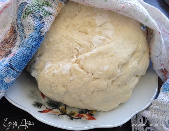 Выложить тесто на доску или тарелку, накрыть полотенцем и дать согреться 10-15 минут.