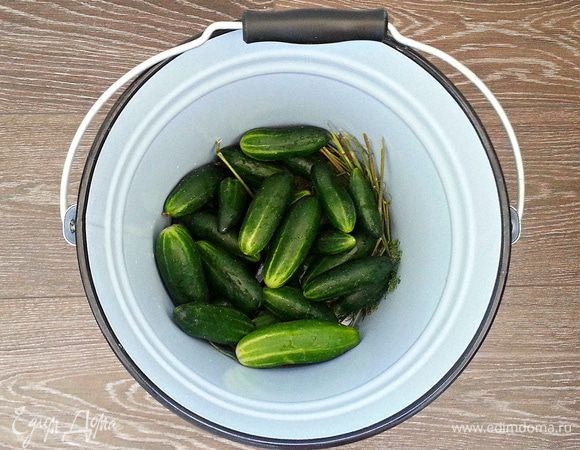 Сверху положить огурцы.