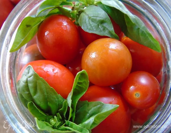 Помидоры вымыть, сложить сверху зелени и уложить листья базилика.