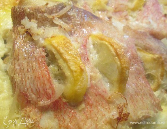 Запекаем 20 минут в духовке, нагретой до 200*С.
Перед подачей поливаем рыбу апельсиновым соком. 
Неповторимый вкус, полезное бывает еще и очень вкусным!
