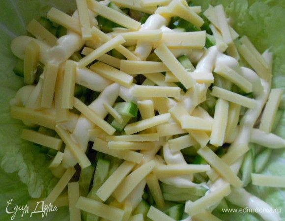 На дно широкой тарелки уложить листья салата. Затем первым слоем я уложила свинину, сверху горкой добавила свежие огурцы, затем сыр (от сорта сыра может чуть меняться вкус салата (острее, солонее, преснее), каждый слой промазать майонезной сеткой.