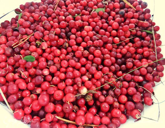 Бруснику в это время перебираем (ой, да, приносим её из леса!), моем.