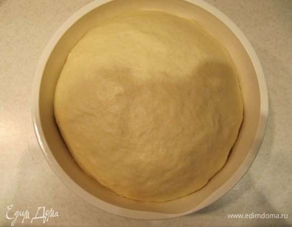 Тесто положить в глубокую миску, смазанную тонким слоем растительного масла, накрыть пленкой и отправить в теплое место на 40 минут. Тесто должно увеличиться в объеме минимум вдвое.