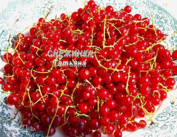 Ягоды оставляем с веточками, промываем под проточной водой, просушиваем.