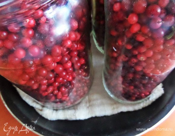 Осторожно ставим в только что включенную духовку и смотрим, чтобы градус не увеличивался (у кого газовая плита), а если электрическая, то, думаю, нужно постепенно довести до 100* и не выше!