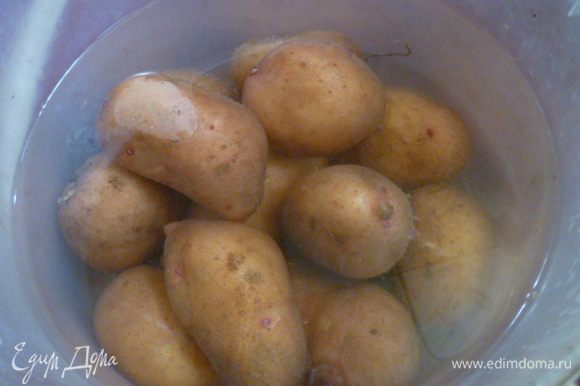 Картофель в кожуре хорошо помыть. Здесь у меня 12 средних картофелин.