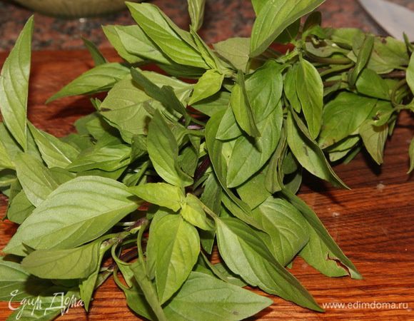 Обрываем листочки с веточки базилика.