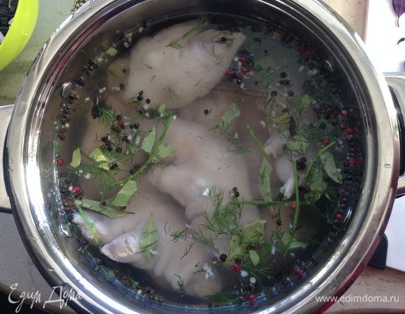 Готовые ножки кладем в маринад, закрываем крышкой и через 10 часов ставим в холодильник на 2 суток. 