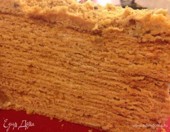 Поставить торт на ночь в холодильник, а утром насладиться насыщенным медовым вкусом с легким оттенком кофе!