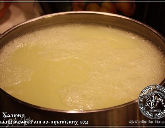 Варить халуми надо часа полтора. При очень слабом, даже не кипении, а побулькивании сыворотки.