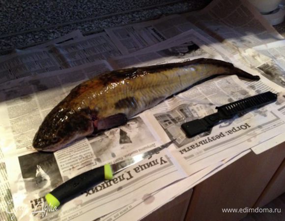 Единственная исключительно пресноводная рыба отряда трескообразных.
Чистим как зайца – после надрезов вокруг головы, «чулком» при помощи плоскогубцев снимаем шкуру.