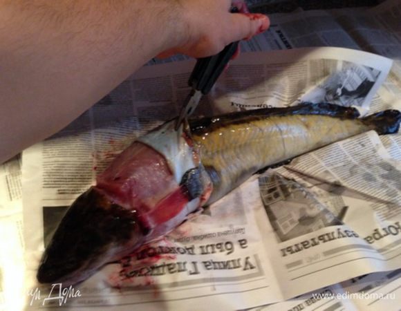 Если рыба свежая, то снимается легко. Кстати говоря, налима и нужно готовить пока он свежий – как и любой продукт, он так будет вкуснее.  