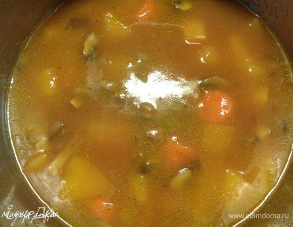 Когда закончатся 10 минут, поставленные на таймере,  добавляем к супу морковь, картофель и перец чили. И варим суп на небольшом огне еще 10 минут. В конце варки солим, перчим, добавляем кориандр и мускатный орех.