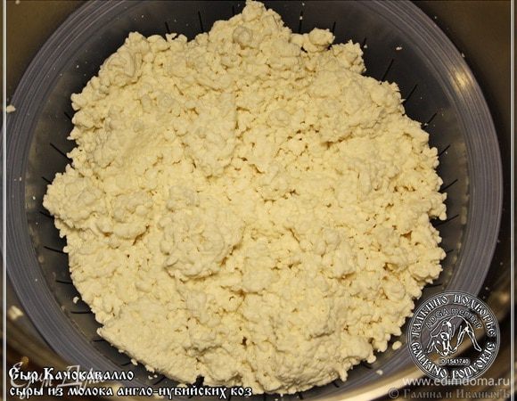 Выкладываем его в форму. Мы дуршлаг используем. Уплотнить надо немного.