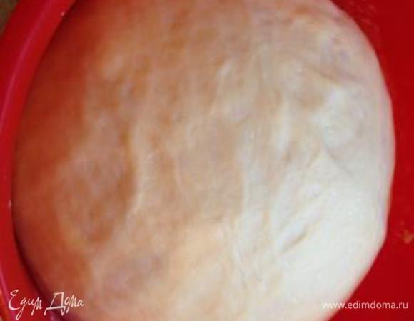 В миску налить остальное теплое молоко, сахар, соль, яйцо и все перемешать. Добавить "ожившие" дрожжи и, постепенно добавляя муку и растительное масло, замесить тесто.
Тесто накрыть и поставить в холодильник на 2 часа.