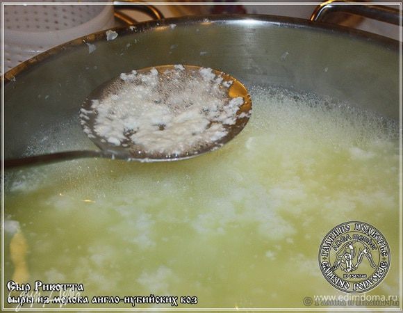 На поверхности сыворотки появляются вот такие хлопья, которые от жидкости надо отделить. Можно выбрать шумовкой, а можно и просто процедить – откинуть через сито. Они, открою вам секрет, и есть та самая рикотта.