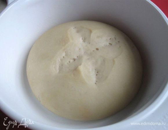 Через 5 дней, чтобы проверить состояние закваски, надо освежить её и оставить  при комнатной температуре, если её объем увеличился вдвое за три часа, значит она работоспособна.
