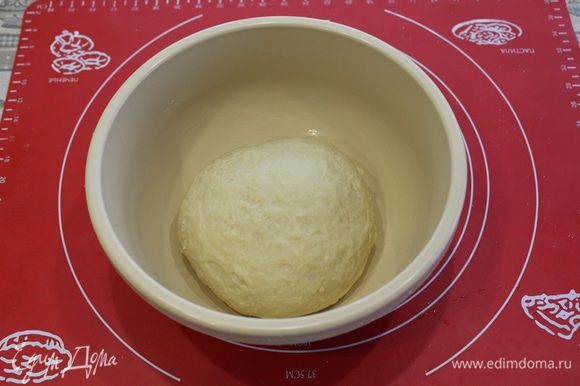 Замесить гладкое тесто, оно должно отставать от рук. Кладем тесто в смазанную растительным маслом чашку, накрыть и поставить в теплое место на один час.