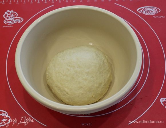 Замесить гладкое тесто, оно должно отставать от рук. Кладем тесто в смазанную растительным маслом чашку, накрыть и поставить в теплое место на один час.