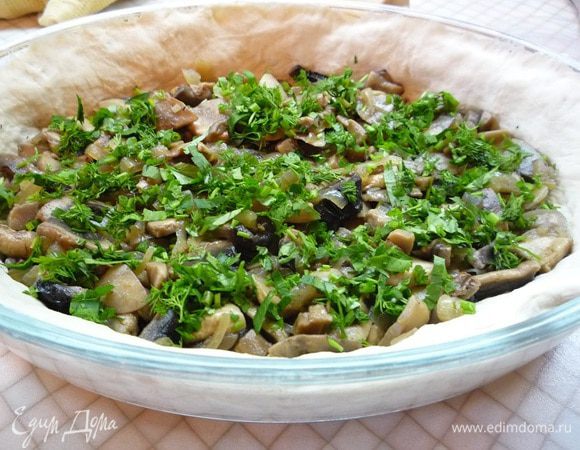 Поверх грибов я уложила мелко рубленную зелень укропа и петрушки.