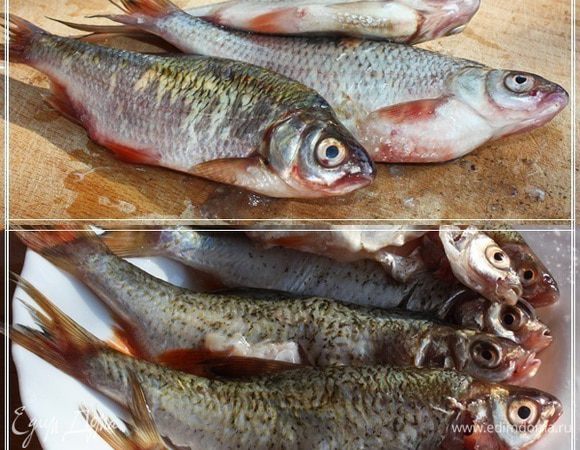 А пока займемся рыбой. Всякую мелочевку почистить, выпотрошить, удалить жабры. Я понимаю, что в источниках даже мыть мелочь не рекомендуют. Но! Времена изменились. 
