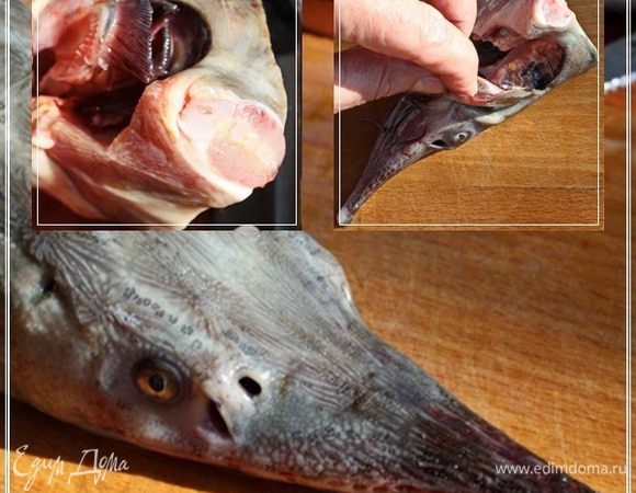 Опять-таки, обязательно удалите жабры. Тщательно. Головы для бульона отложите.