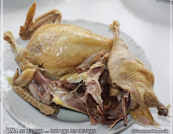 Петуха вынимать стал, так он, сын курицы, разломился. Так уварился.
Кстати, если следовать канонам, то подавать уху надо с блинчиками или пирожками. Вот мясо этого петуха, да с пережаренным лучком, очень для начинки подойдет. Только никаких мясорубок. Мясо лучше всего нашинковать меленько.

