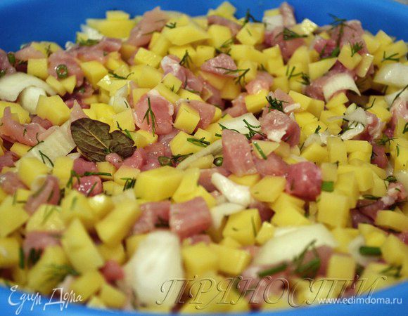 Картофель чистим и режем как можно мельче. Мясо режем мелкими кубиками. Лук мелко шинкуем. Все перемешиваем и добавляем семена укропа, лавровый лист, соль.