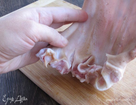 Достать уши из воды и хорошо промыть под проточной водой с помощью щетки. Затем в области слухового прохода сделать разрез, а так же разрезать толстые хрящи.