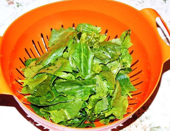Если шпинат свежий, его надо очень хорошо промыть под проточной водой и оторвать стебельки. У нас рекомендуют подержать зелень хотя бы 10 минут в воде с уксусом. В кислой среде погибают микробы. 